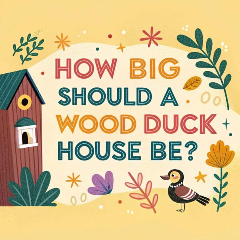 How Big Should a Wood Duck House Be? -Dimensions, Specifications, and Essential Tips for Success