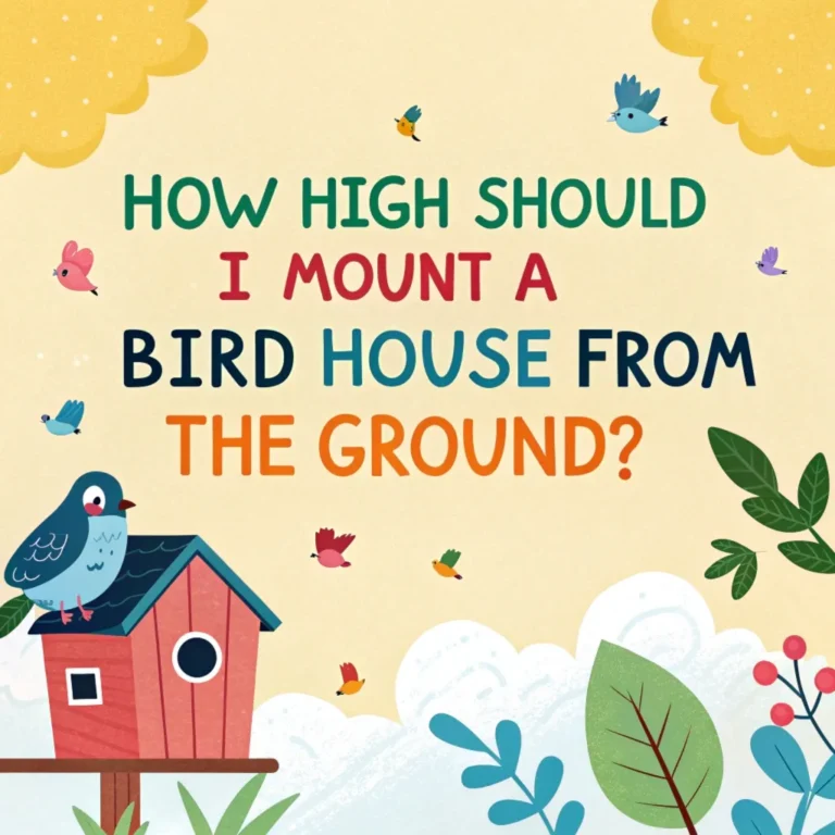 How high should I mount a bird house from the ground?