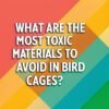 What Are The Most Toxic Materials To Avoid In Bird Cages? A ...