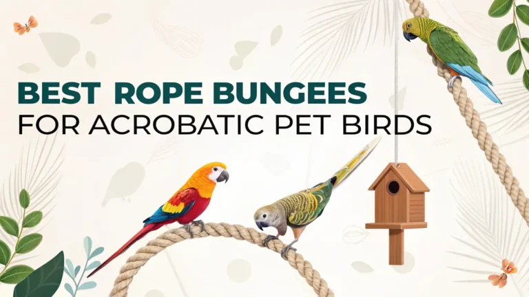 7 Best Rope Bungees for Acrobatic Pet Birds in 2026