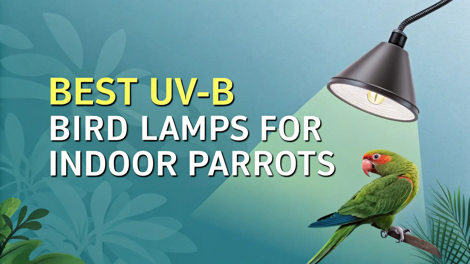 6 Best UV-B Bird Lamps for Indoor Parrots In 2026