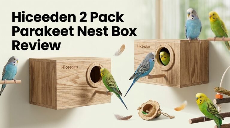 Hiceeden 2 Pack Parakeet Nest Box Review 2026: Scam or Legit?