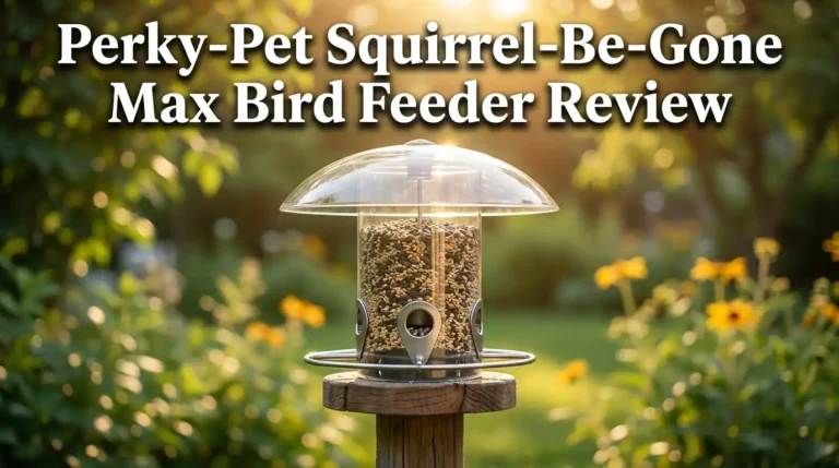Perky-Pet Squirrel-Be-Gone Max Bird Feeder Review
