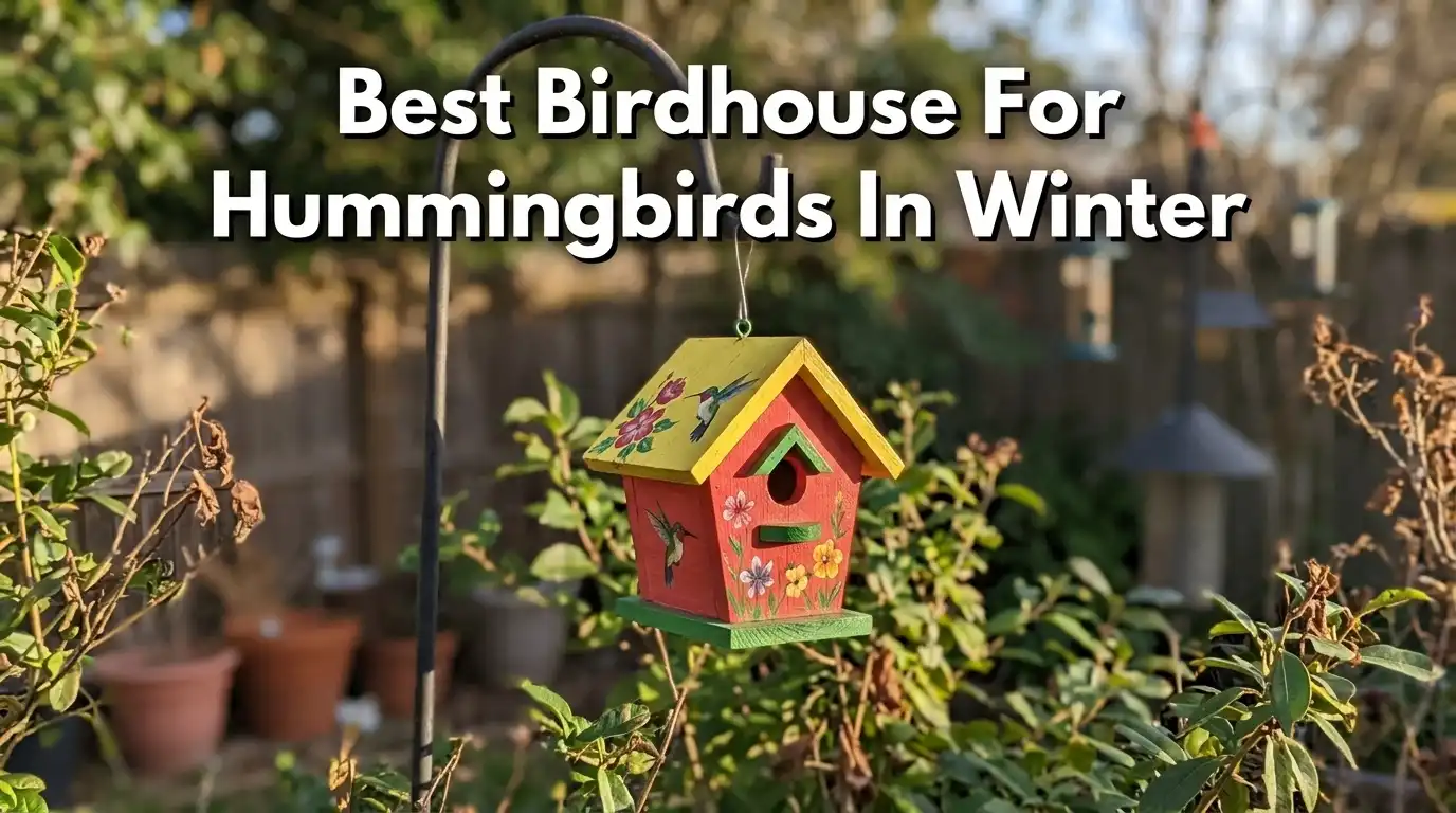 10 Best Birdhouse For Hummingbirds In Winter