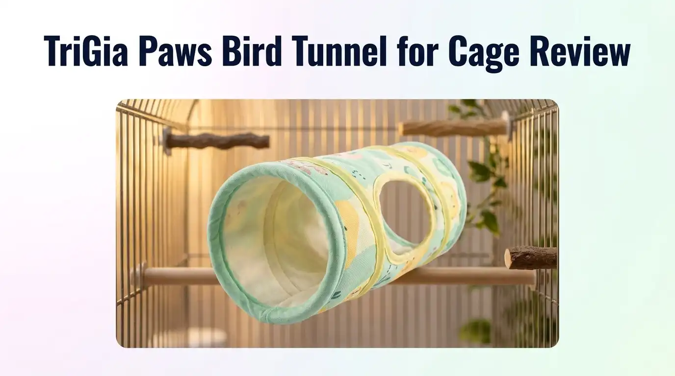 TriGia Paws Bird Tunnel for Cage Review 2026: Worth Buying?