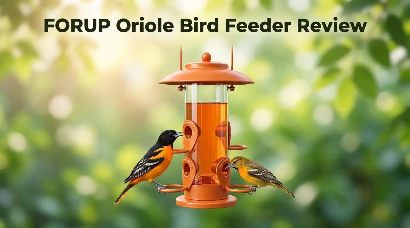 FORUP Oriole Bird Feeder Review 2026: Worth Hanging?