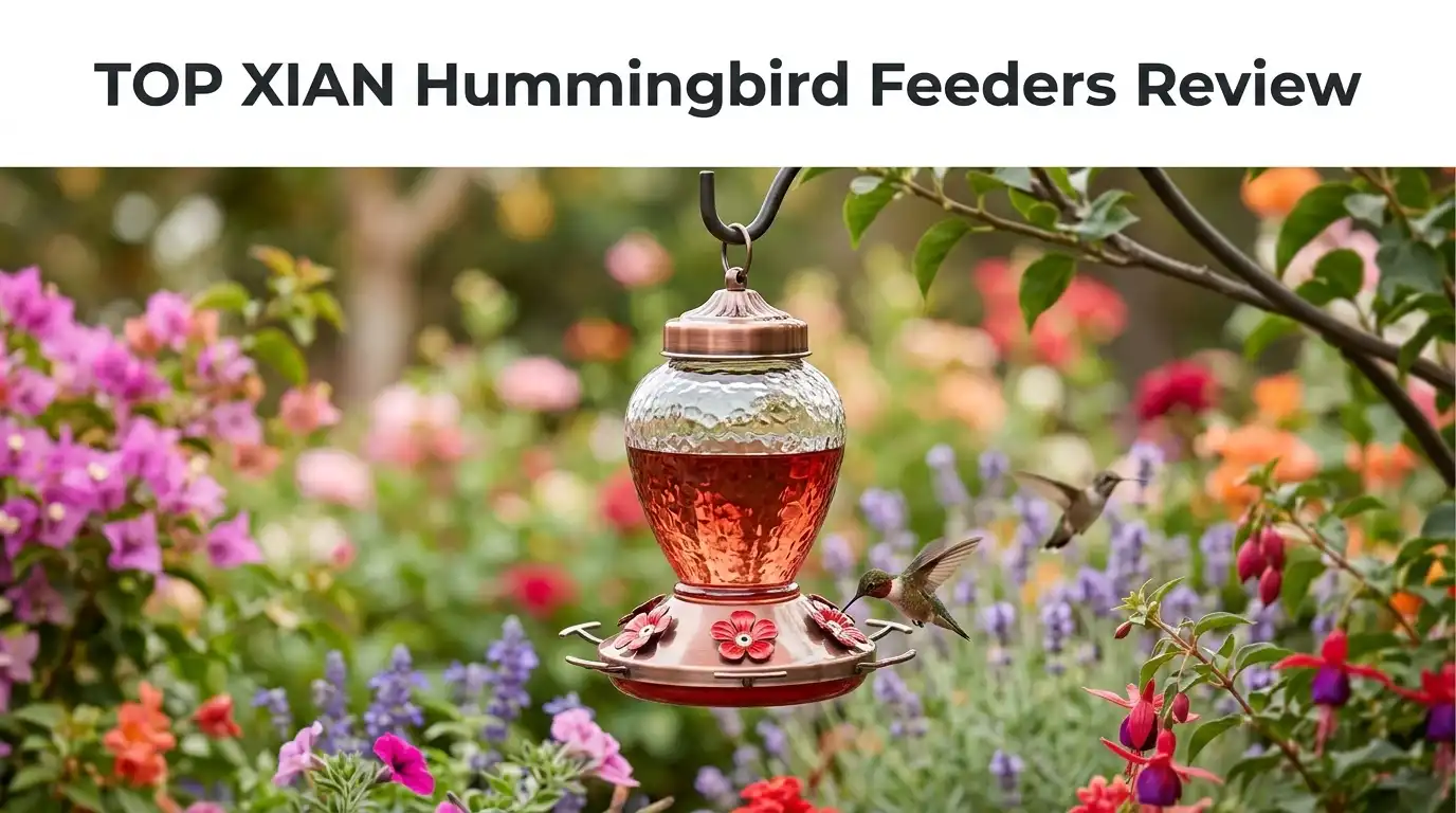 TOP XIAN Hummingbird Feeders Review 2026: Worth Buying?