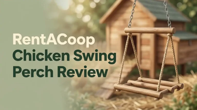 RentACoop Chicken Swing Perch Review 2026: Worth It?