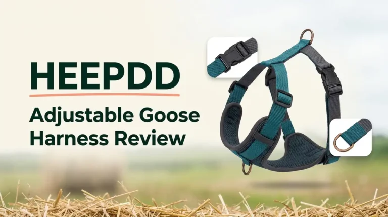 HEEPDD Adjustable Goose Harness Review 2026: Worth Buying?