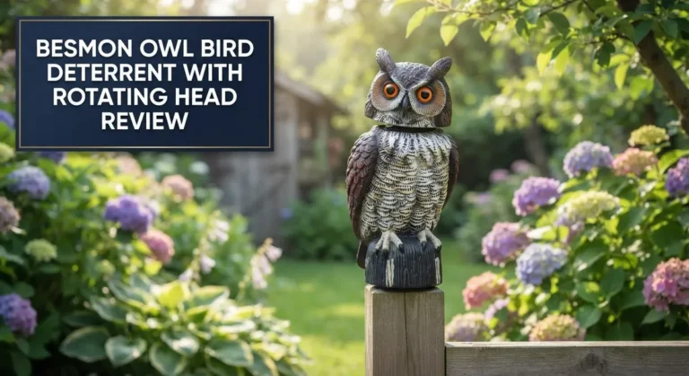Besmon Owl Bird Deterrent Review 2026: Buyer’s Guide