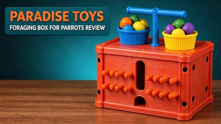 Paradise Toys Foraging Box for Parrots Review 2026: Complete Guide