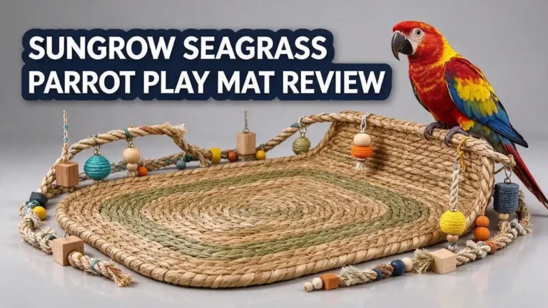 SunGrow Seagrass Parrot Play Mat Review 2026: Worth Buying?