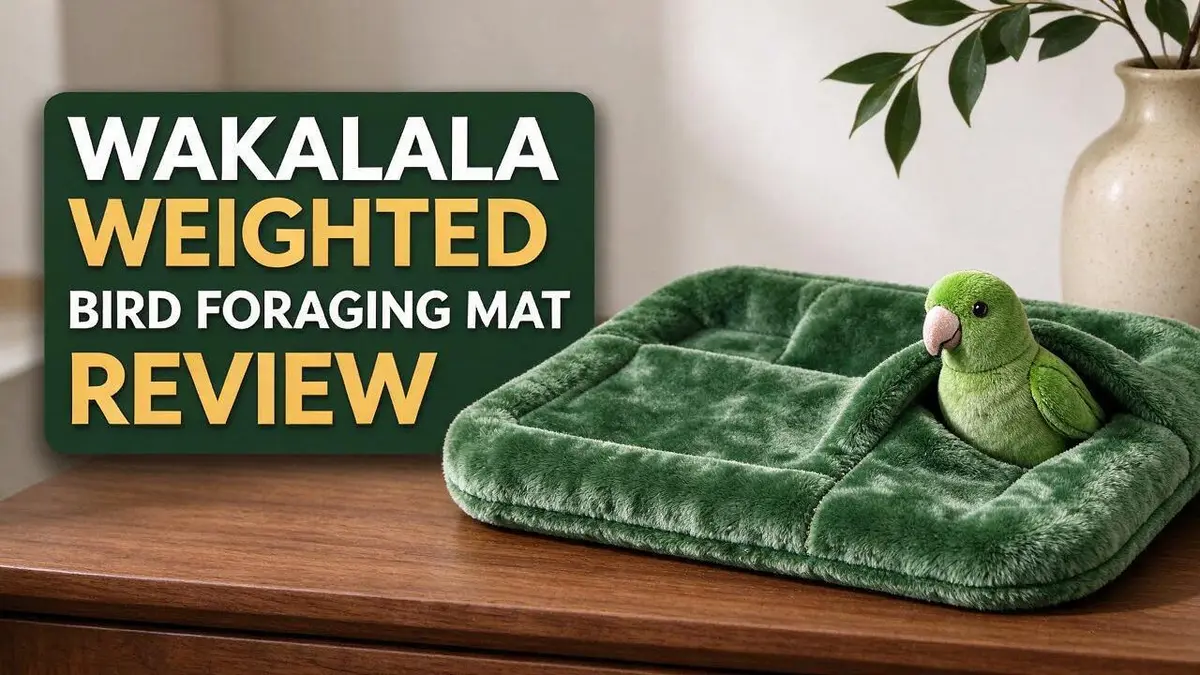 WAKALALA Weighted Bird Foraging Mat Review 2026: Complete Guide